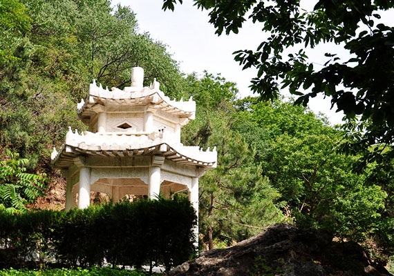 北京树葬多吗?该怎么选择呢?