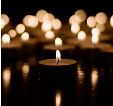 北京树葬的话需要什么手续吗？